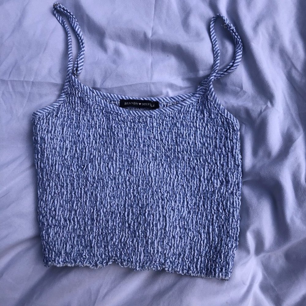 Blue and White Brandy Melville Crop Top